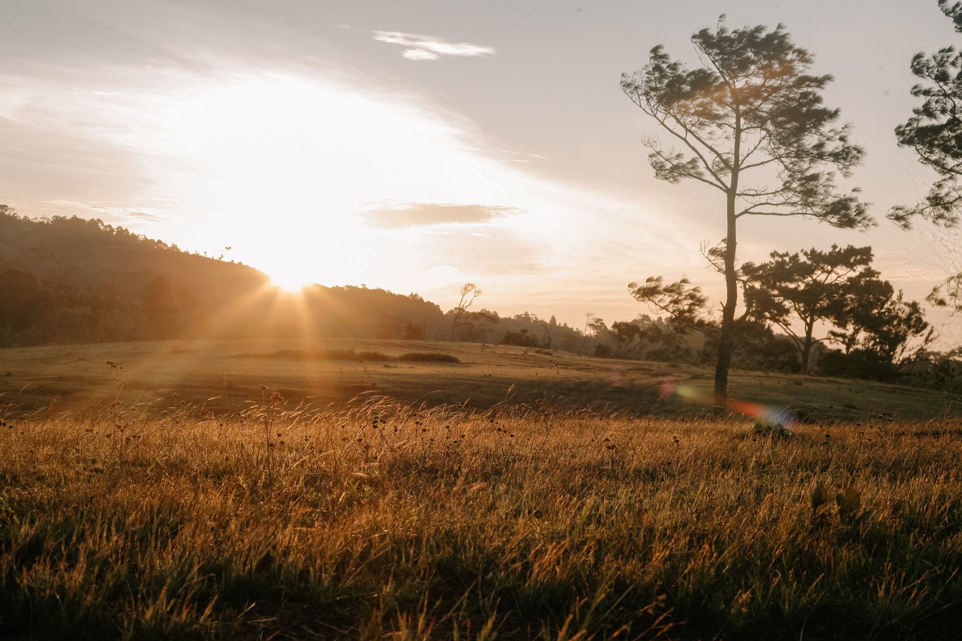 agriculture countryside dawn dusk
