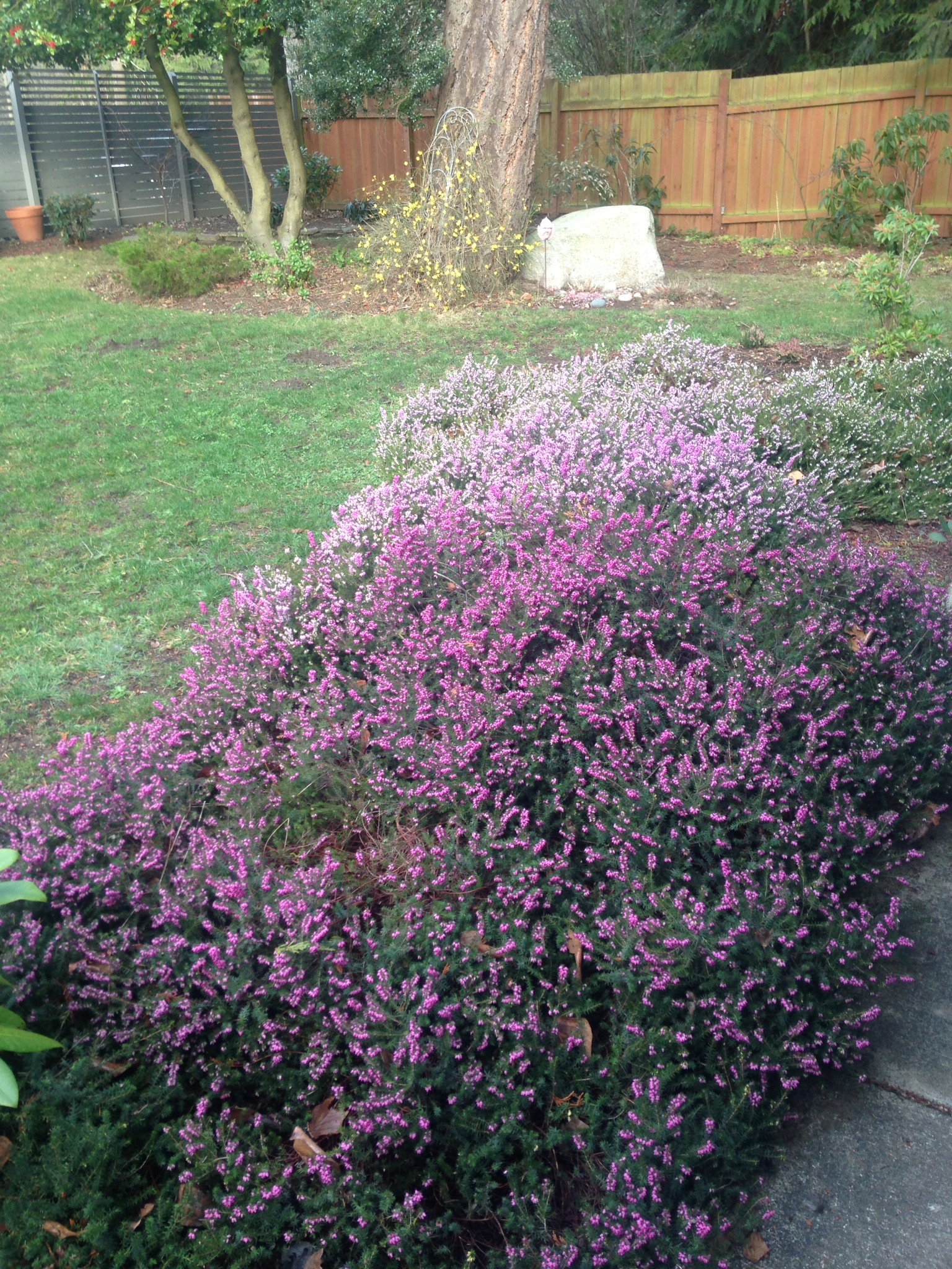 32bfdedc-df8d-413e-bba6-9700d17ce4bc