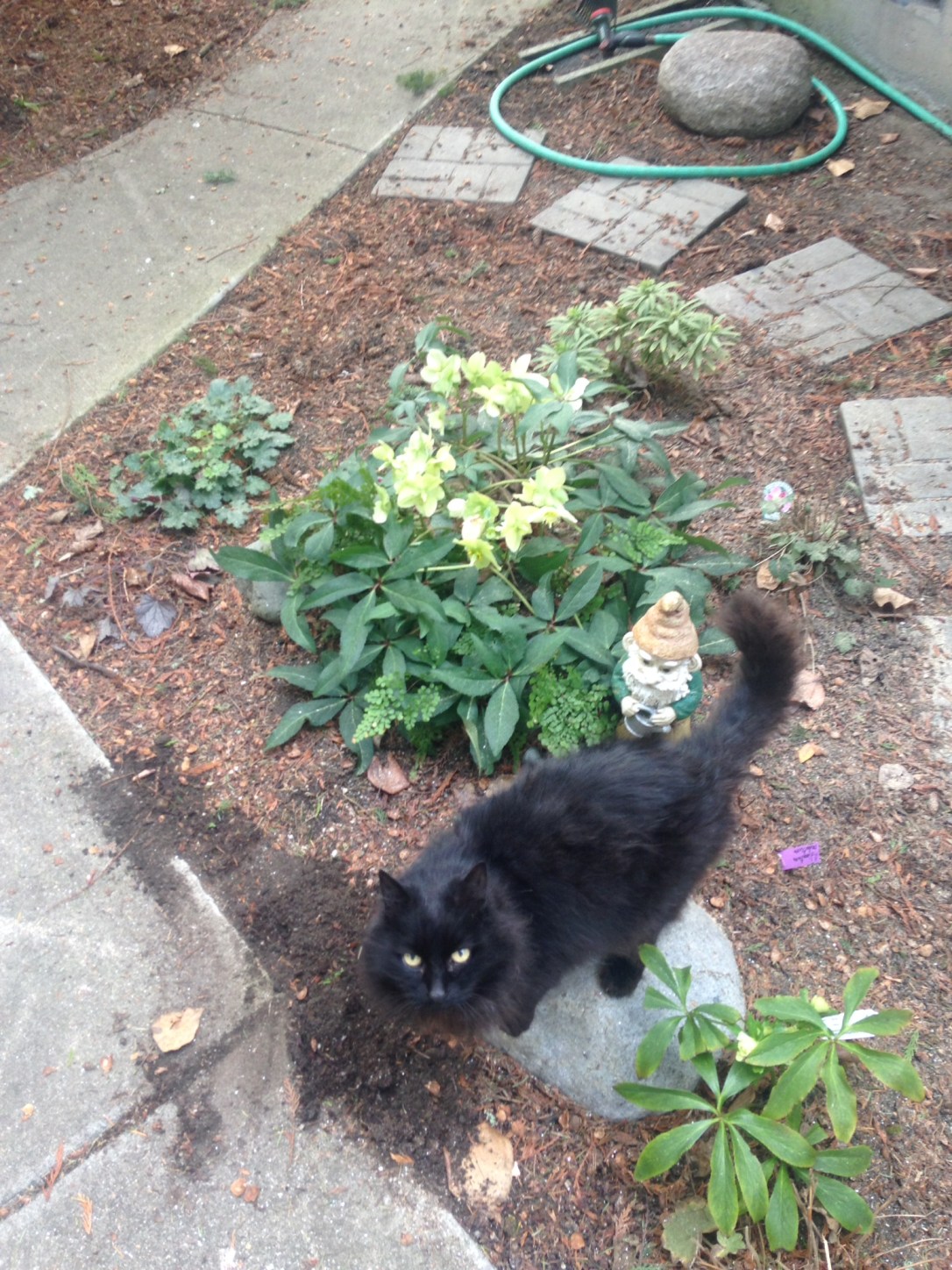 c9f4057e-e99d-48c0-8cd8-70363dd8d123