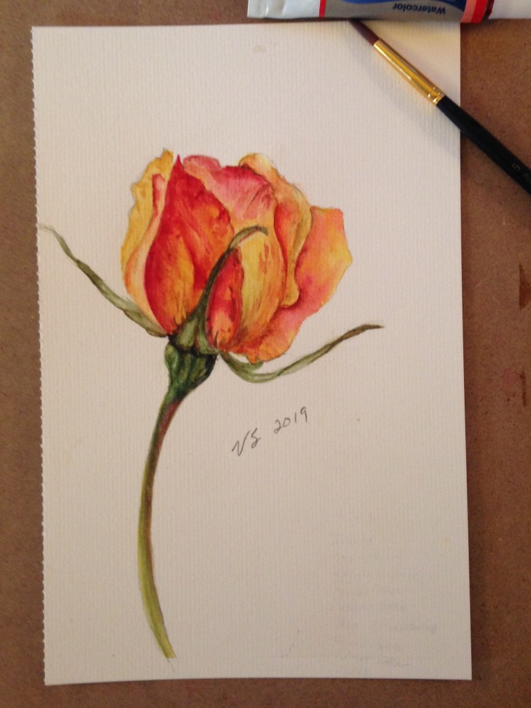 EF056648-5D68-44BD-9DB0-22C058E60D5D